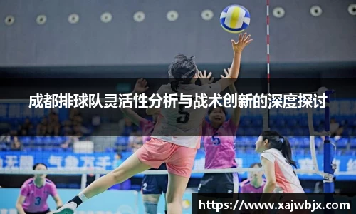 成都排球队灵活性分析与战术创新的深度探讨