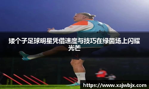 小艾电竞官方网站