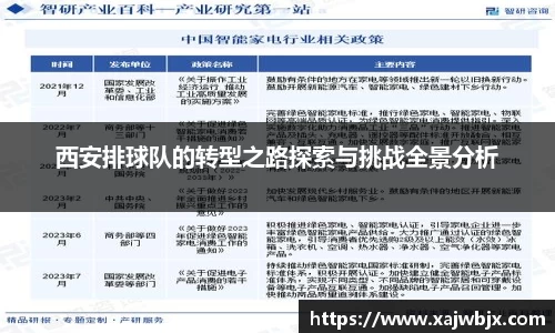 西安排球队的转型之路探索与挑战全景分析