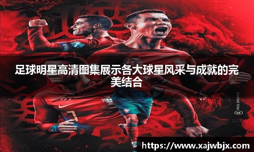 足球明星高清图集展示各大球星风采与成就的完美结合